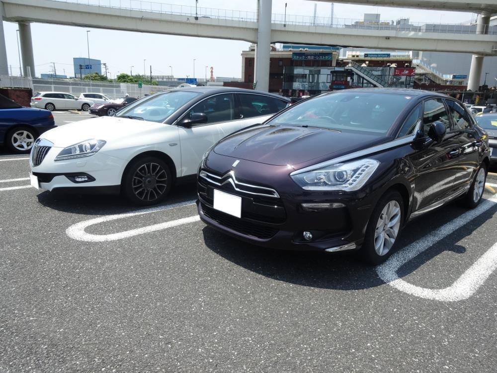 DSC00563 - コピー.JPG